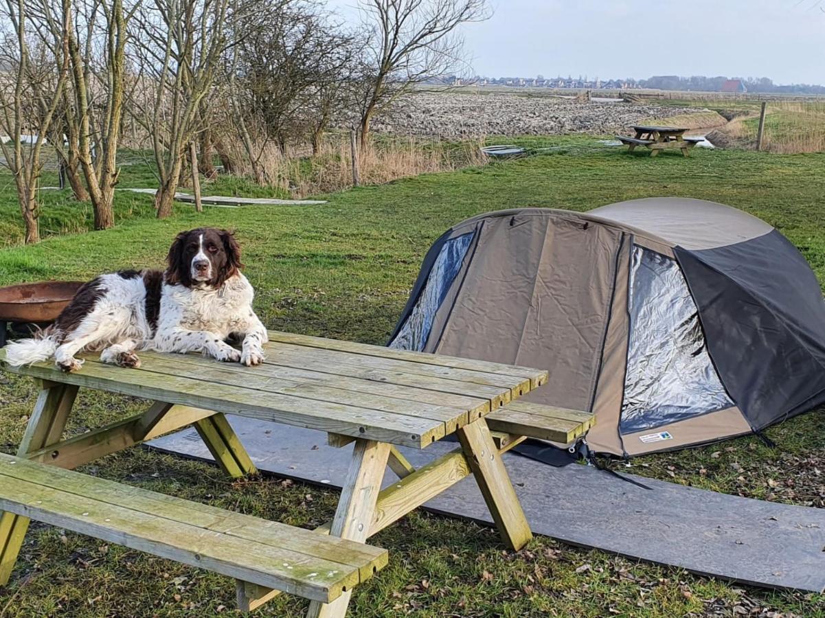 Basic 2P Tent Sotterum Otel Kornwerd Dış mekan fotoğraf